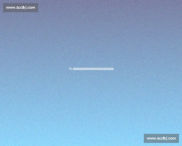 16 岁东契奇皇马首秀：天才降临伯纳乌，全场起立致敬未来巨星