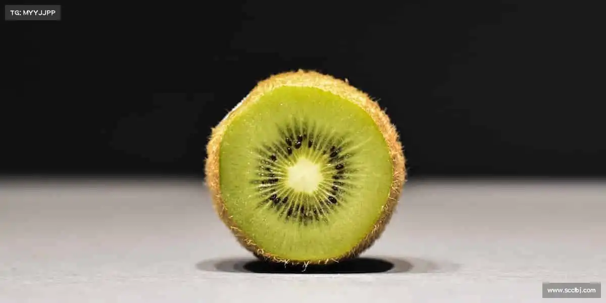 行业领先的理由